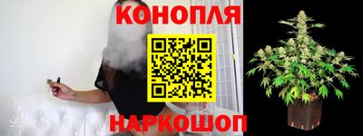 сатива Севастополь