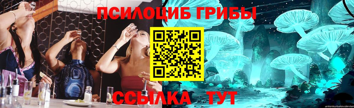 Сорочинск  Галлюциногенные грибы ЛСД  Вход с VPN  Галлюциногенные грибы мицелий 