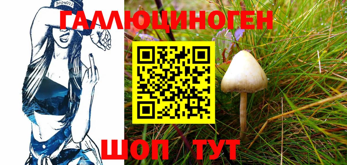 Галлюциногенные грибы Cubensis Сорочинск